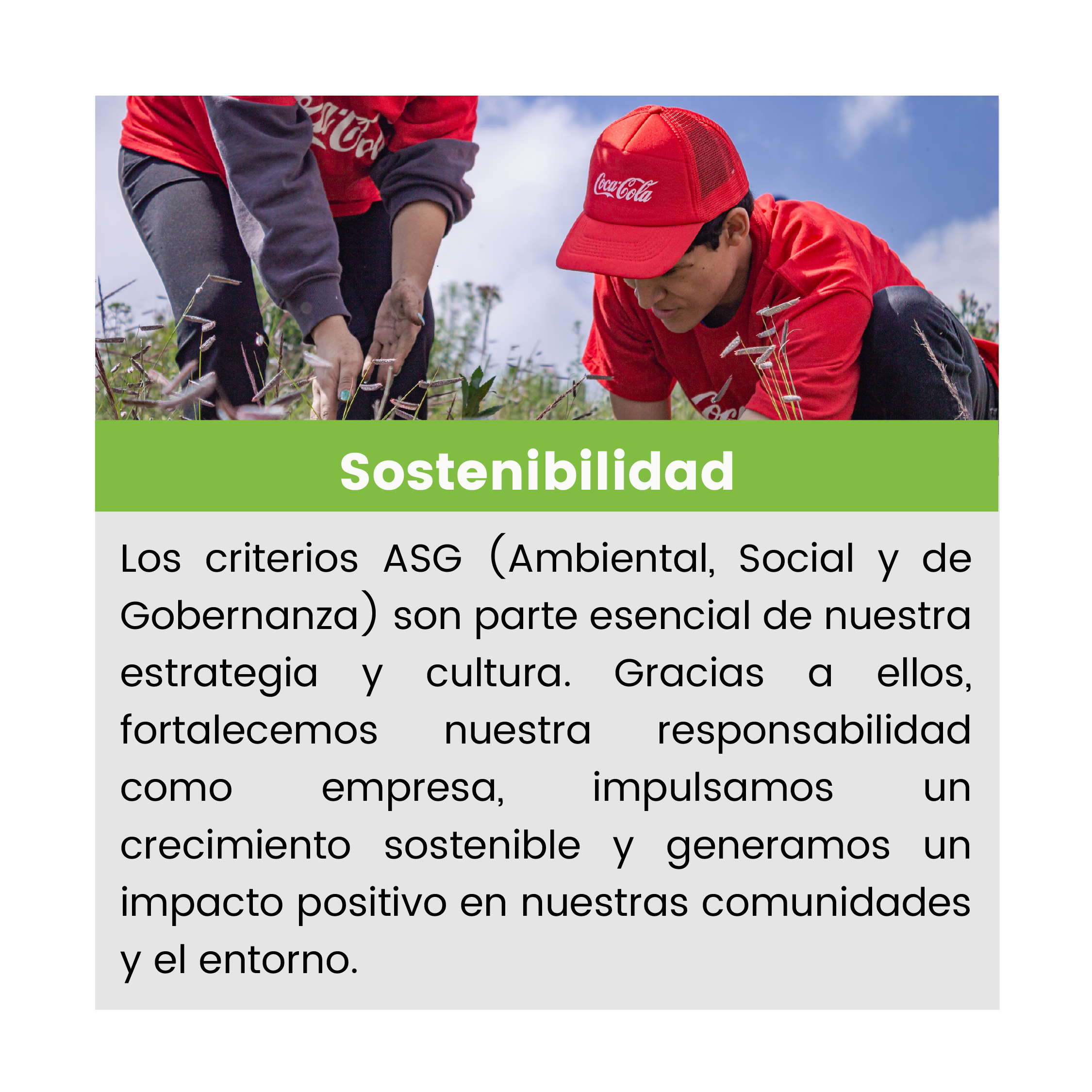 seccion web_Mesa de trabajo 1 copia